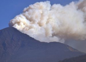 ताप्लेजुङस्थित पाथीभरा मन्दिर क्षेत्रको जङ्गलमा पाँच दिनदेखि लागेको डढेलो