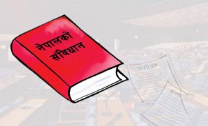 संविधानको धारा १०० मा के छ ?