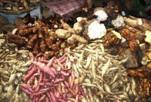 एक महिनामै कालीमाटीमा भित्रियो ११ करोडको कन्दमूल