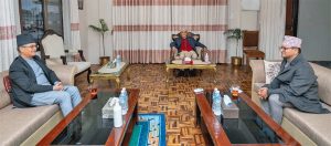 संवैधानिक परिषद्को बैठक स्थगित
