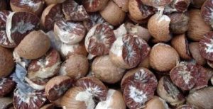 सुपारी तस्करलाई बालुवाटारकै संरक्षण