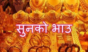 ताेलामा २०० सयले बढ्यो सुनकाे मुल्य ताेलामा २०० सयले बढ्यो सुनकाे मुल्य