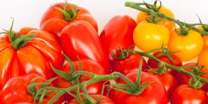 गोलभेँडा बिक्रीबाट ६ महिनामै तीन करोड आम्दानी