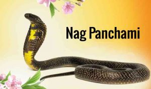 आज देशभर नाग पञ्चमी मनाइँदै