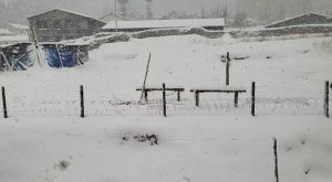 आजको मौसम:हिमपातको सम्भावना