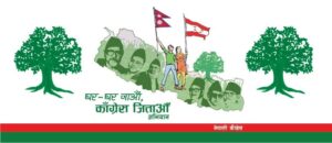 काँग्रेस एक्लै चुनावी अभियानमा