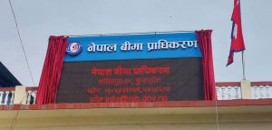 बीमा भनेको के हो ? बीमा कति प्रकारका हुन्छन ? बीमा भनेको के हो ? बीमा कति प्रकारका हुन्छन ?