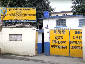 डिडिसीमा व्यापक अनियमितता भएको पूर्वसञ्चालक समिति अध्यक्षको खुलासा