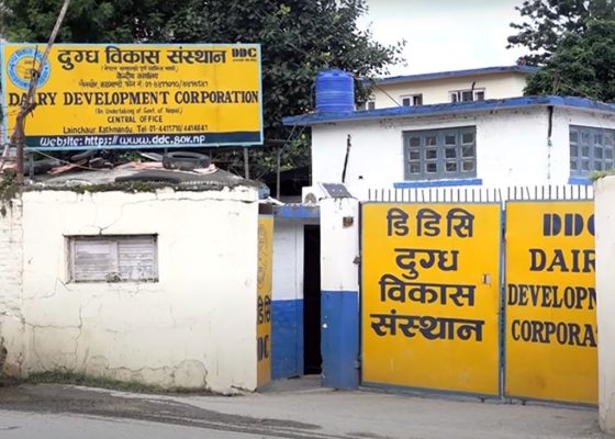 डिडिसीमा व्यापक अनियमितता भएको पूर्वसञ्चालक समिति अध्यक्षको खुलासा