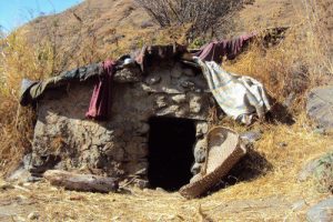 छाउगोठमा बसेकी किशोरी बलात्कृत छाउगोठमा बसेकी किशोरी बलात्कृत
