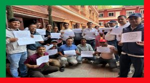 निजामती ऐन कार्यान्वयन माग गर्दै अभूतपूर्व प्रदर्शन, १४,९४० कर्मचारी सहभागि