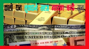 सुनमा भ्रष्टाचारको सुनामी, कर नतिर्ने, विवरण नदिने, सरकार आँखा चिम्लिने