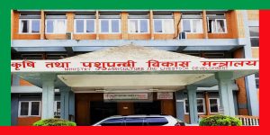 कृषि तथा पशुपन्छी क्षेत्रका लागि कुल ५७ अर्व ४८ करोड रुपैया विनियोजन