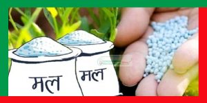 सायनिक मलका अनुदानका लागि २८ अर्ब ८२ करोड बजेट विनियोजन