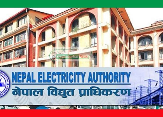 नेपाल विद्युत् प्राधिकरणको पुनर्संरचना गर्ने नेपाल विद्युत् प्राधिकरणको पुनर्संरचना गर्ने