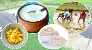 आज राष्ट्रिय धान दिवस र दही चिउरा खाने पर्व