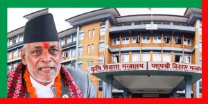 कृषि मन्त्री अधिकारी रासायनिक मल आपूर्तिमा पूर्ण असफल