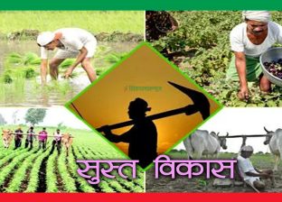 सकिँदै खेतबारी, मँहगिँदै खाद्यान्न र तरकारी, विषादीयुक्त खानाले बढ्दै बिरामी !