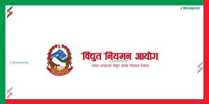 विद्युत नियमन आयोगद्वारा ‘संस्थागत सुशासन मापदण्ड, २०८२’ को मस्यौदा सार्वजनिक
