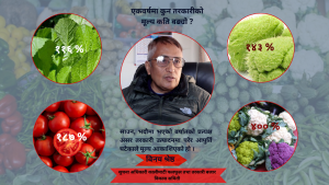 मौसमी तरकारीको मूल्य नै ४०० प्रतिशत सम्मले वृद्धि, थोकदेखि खुद्रा बजारमा पुग्दा अस्वभाविक मूल्य अन्तर कसरी ?