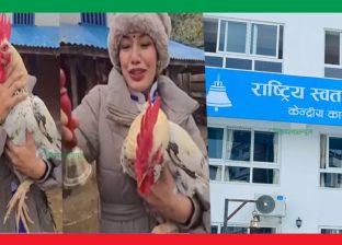 कुखुरा–बाख्रासँग भोट माग्ने धादिङ–१ को चुनावी शैलीमाथि बहस