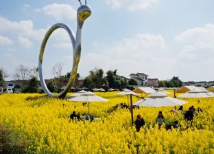 तोरीबारीमा बसेर डिनर खाने पर्यटकीय गन्तब्य बन्दै चीन