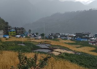 हावाहुरीसहित चट्याङ र असिनापानी : पाकेको गहुँवालीमा क्षति