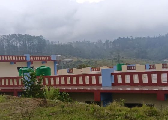 आधारभूत अस्पतालको भवन बन्यो, भएन अस्पताल र दरबन्दी स्वीकृति