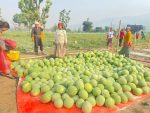 कृषिमा भविष्य खोज्दै समीर कृषिमा भविष्य खोज्दै समीर