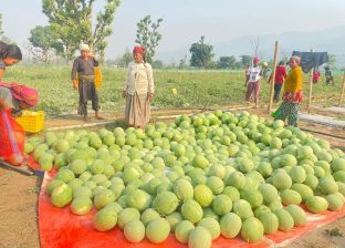 कृषिमा भविष्य खोज्दै समीर कृषिमा भविष्य खोज्दै समीर