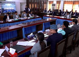 आज एकैदिन १० संसदीय समितिको बैठक बस्दै