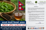 भारतले नेपाली चियाको आयात परीक्षणमा आंशिक सहजीकरण गर्यो भारतले नेपाली चियाको आयात परीक्षणमा आंशिक सहजीकरण गर्यो