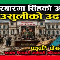 सिंहदरबारमा सिंहको अन्त्य, माउसुलीको उदय !