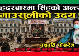 सिंहदरबारमा सिंहको अन्त्य, माउसुलीको उदय ! सिंहदरबारमा सिंहको अन्त्य, माउसुलीको उदय !
