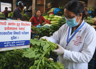 रायोको सागमा भेटियो उच्च विषादी, नष्ट गर्न निर्देशन