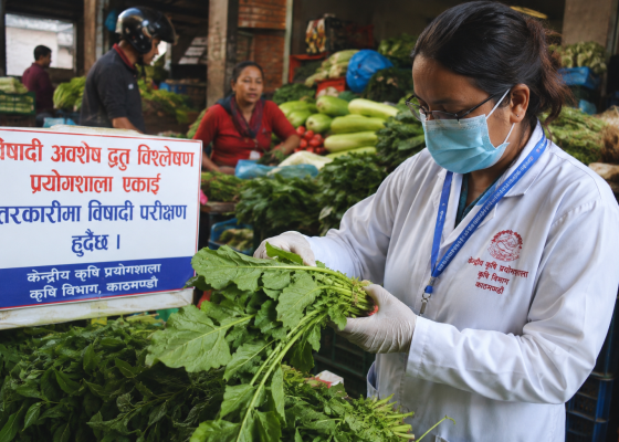 रायोको सागमा भेटियो उच्च विषादी, नष्ट गर्न निर्देशन