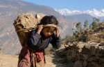 नेपालमा बालश्रम : हिमाली तथा पहाडी दुर्गम क्षेत्रमा अझै जोखिम नेपालमा बालश्रम : हिमाली तथा पहाडी दुर्गम क्षेत्रमा अझै जोखिम