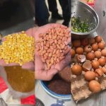 सिंहदरबारको केन्द्रीय क्यान्टिनमा अखाद्य सामग्री फेला, २ लाख १ हजार रुपैयाँ जरिवाना