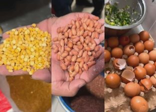 सिंहदरबारको केन्द्रीय क्यान्टिनमा अखाद्य सामग्री फेला, २ लाख १ हजार रुपैयाँ जरिवाना