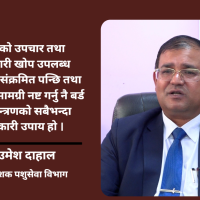बर्ड फ्लुको हटस्पट बन्दै काठमाडौं उपत्यका, ६० करोड रुपैयाँभन्दा धेरैको क्षति : डा. उमेश दाहाल