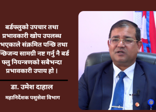 बर्ड फ्लुको हटस्पट बन्दै काठमाडौं उपत्यका, ६० करोड रुपैयाँभन्दा धेरैको क्षति : डा. उमेश दाहाल