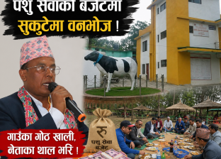 पशु सेवाको बजेटमा सुकुटेमा वनभोज पशु सेवाको बजेटमा सुकुटेमा वनभोज