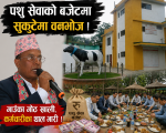 पशु सेवाको बजेटमा सुकुटेमा वनभोज पशु सेवाको बजेटमा सुकुटेमा वनभोज