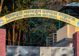 शिवपुरी–नागार्जुन राष्ट्रिय निकुञ्जमा अब ई–टिकेटिङ शिवपुरी–नागार्जुन राष्ट्रिय निकुञ्जमा अब ई–टिकेटिङ