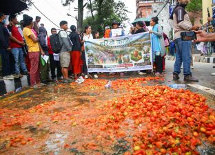 माइतीघरमा टमाटर किसानको आन्दोलनपछि कृषि मन्त्री गिता चौधरीको पहल : कालीमाटीबाट उपत्यका बाहिर ढुवानी सुरु माइतीघरमा टमाटर किसानको आन्दोलनपछि कृषि मन्त्री गिता चौधरीको पहल : कालीमाटीबाट उपत्यका बाहिर ढुवानी सुरु