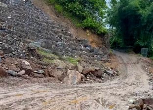 मेची राजमार्ग अवरुद्ध : निरन्तर जमिन भासिँदै, मन्त्रीको निर्देशन कागजमै सीमित