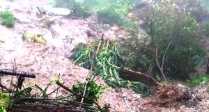 दोलखामा पहिरो : चार महिनाकी शिशुको ज्यान गयो, आमा गम्भीर घाइते दोलखामा पहिरो : चार महिनाकी शिशुको ज्यान गयो, आमा गम्भीर घाइते