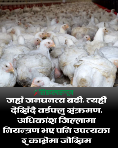 जहाँ जनघनत्व बढी, त्यहीँ देखिँदै वर्डफ्लु संक्रमण, अधिकांश जिल्लामा नियन्त्रण भए पनि उपत्यका र काभ्रेमा जोखिम 