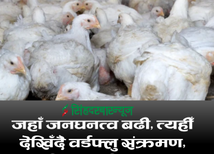 जहाँ जनघनत्व बढी, त्यहीँ देखिँदै वर्डफ्लु संक्रमण, अधिकांश जिल्लामा नियन्त्रण भए पनि उपत्यका र काभ्रेमा जोखिम 