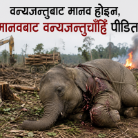 वन्यजन्तुबाट मानव होइन, मानवबाट वन्यजन्तुचाँहि पीडित !